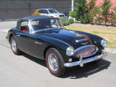 1966 Austin-Healey 3000