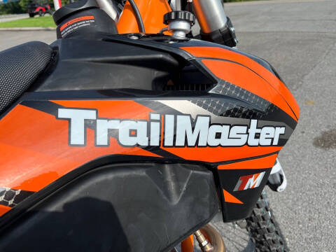 2024 TrailMaster TM 38E-300