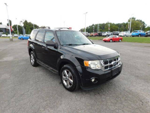 2010 Ford Escape XLT