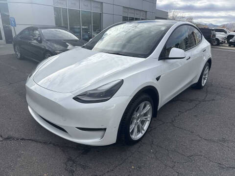 2023 Tesla Model Y Long Range