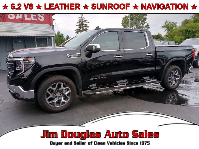 2024 GMC Sierra 1500 for sale at Jim Douglas Auto Sales in Pontiac MI