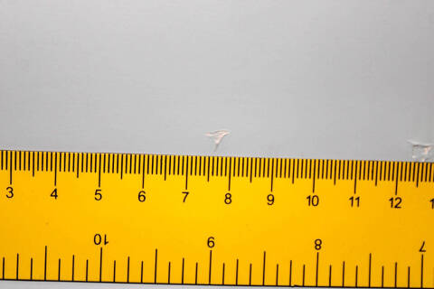 1954 Chevrolet Bel Air