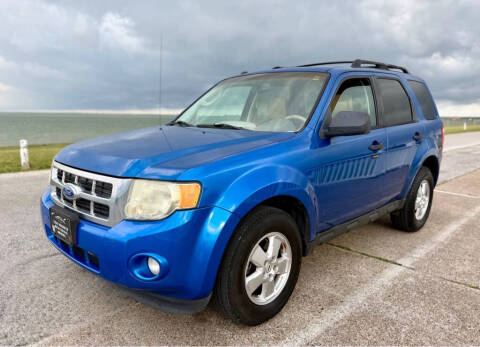 2011 Ford Escape XLT