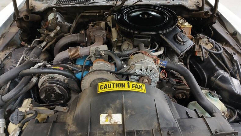 1980 Pontiac Trans Am