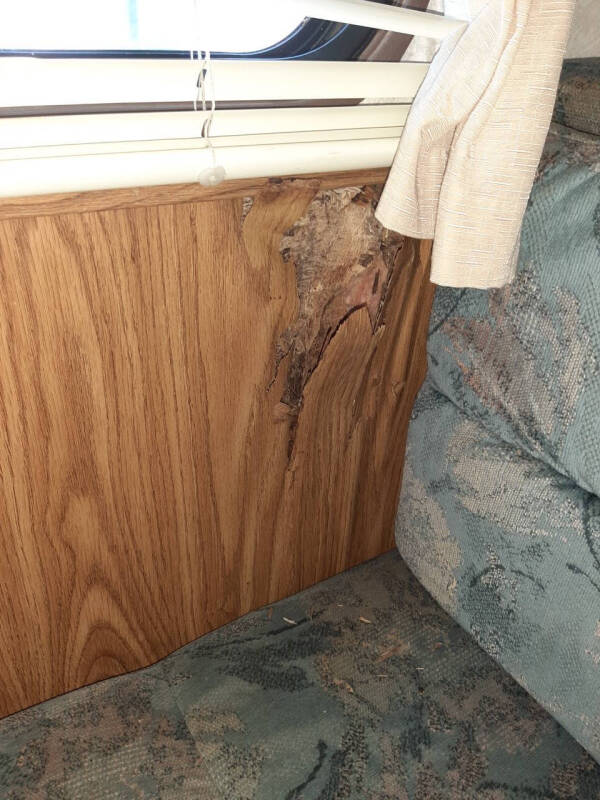 1995 Dutchmen 30 FT. BUNK HOUSE