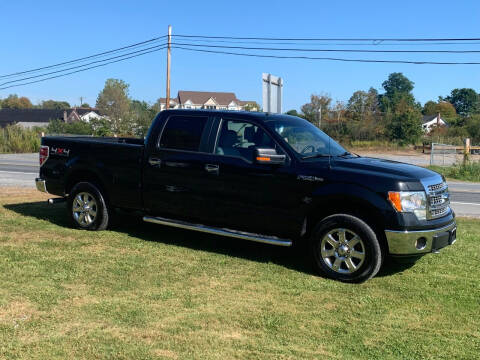 2014 Ford F-150 for sale at Saratoga Motors in Gansevoort NY