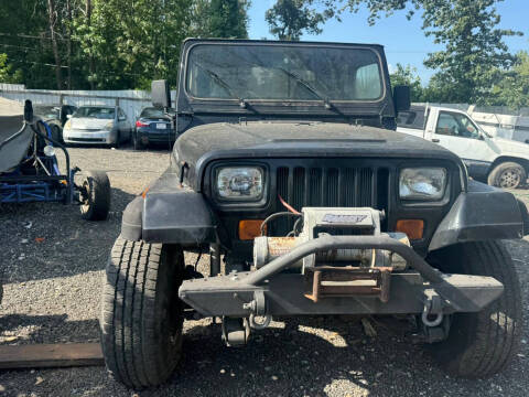 1994 Jeep Wrangler for sale at Virginia Auto Mall in Woodford VA