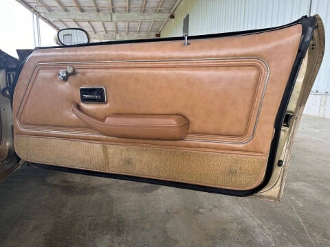 1980 Pontiac Firebird Trans Am