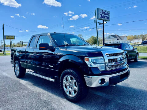 2014 Ford F-150 for sale at J. MARTIN AUTO in Richmond Hill GA