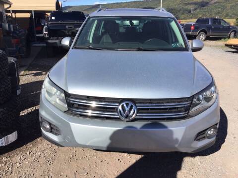 2014 Volkswagen Tiguan for sale at Troy's Auto Sales in Dornsife PA