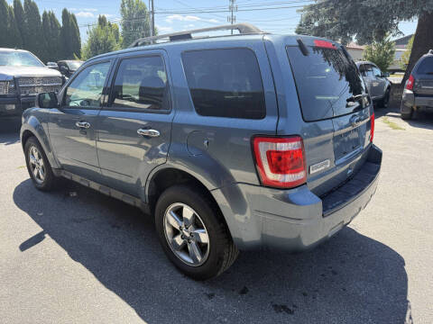 2011 Ford Escape XLT