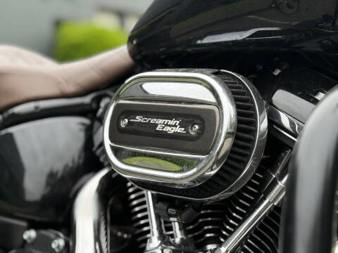 2019 Harley-Davidson Softail
