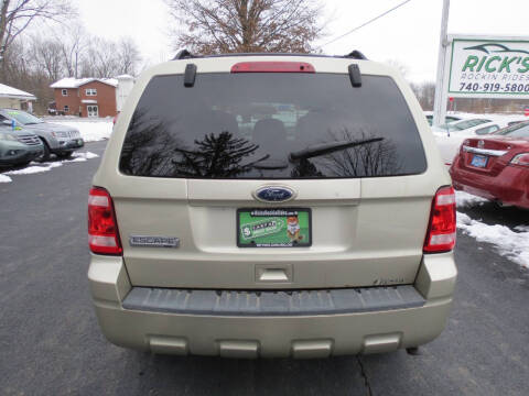 2011 Ford Escape XLT