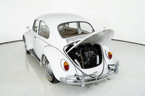 1965 Volkswagen Beetle