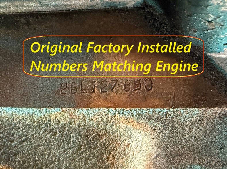 1981 Pontiac Firebird Trans Am