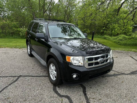 2009 Ford Escape for sale at Greystone Auto Group in Grand Rapids MI