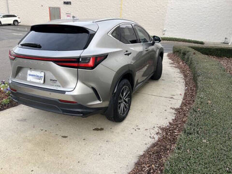 2024 Lexus NX 350h Premium