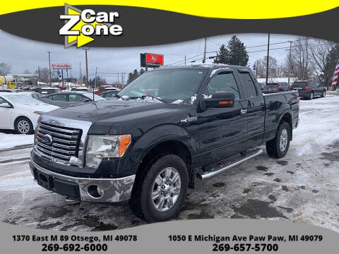 2010 Ford F-150 for sale at Car Zone in Otsego MI