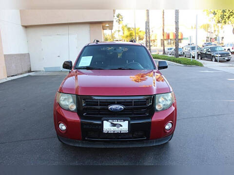 2010 Ford Escape XLT