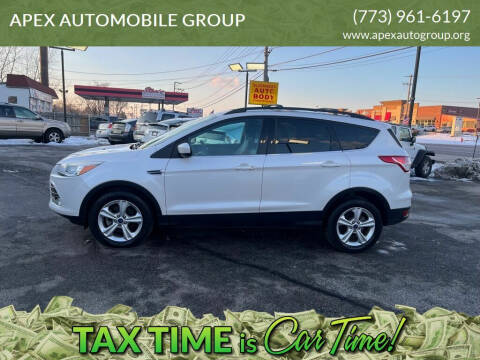 2014 Ford Escape for sale at APEX AUTOMOBILE GROUP in Roselle IL
