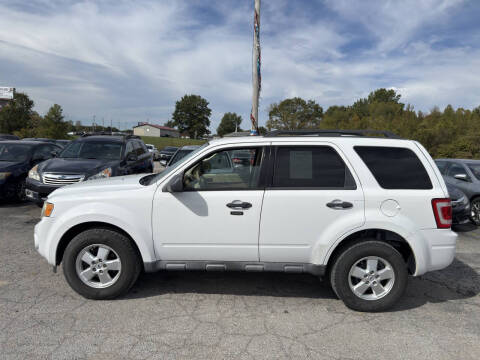 2010 Ford Escape XLT