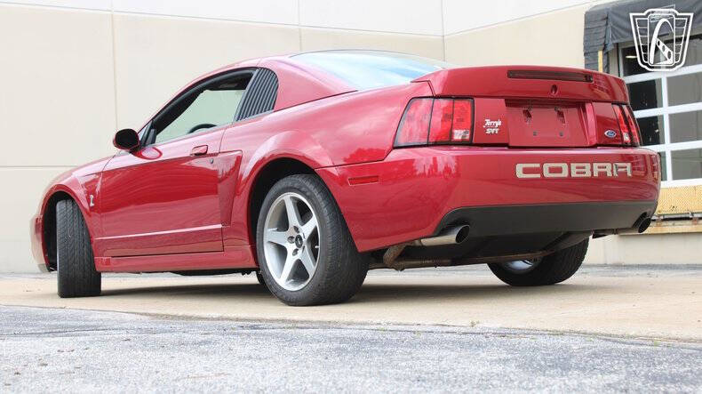 2003 Ford Mustang SVT Cobra
