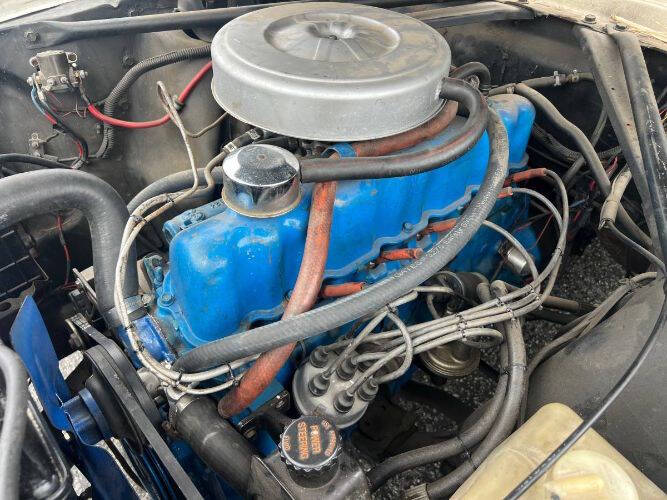 1966 Ford Mustang