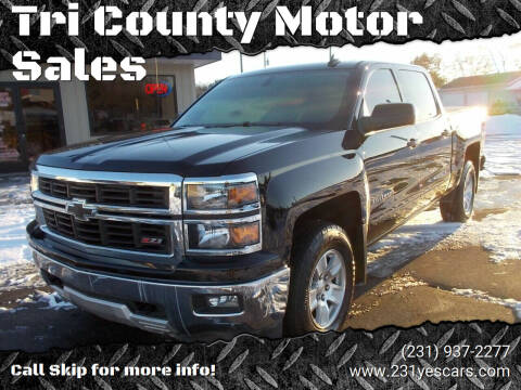 2015 Chevrolet Silverado 1500 for sale at Tri County Motor Sales in Howard City MI