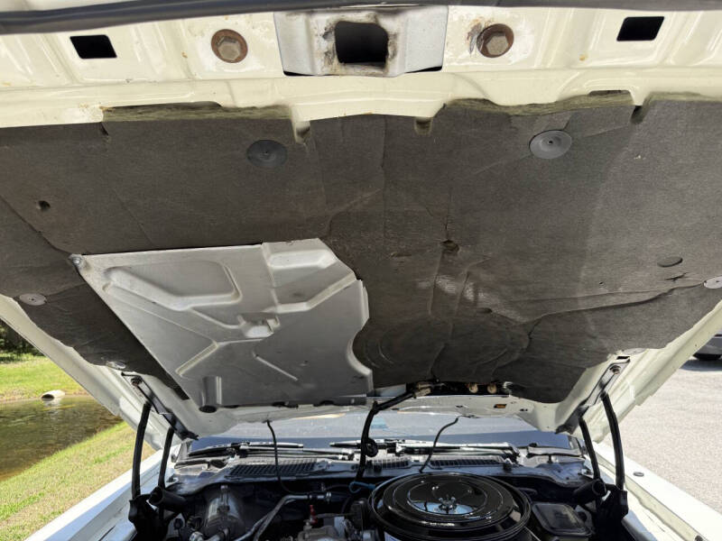 1981 Pontiac Firebird Trans Am