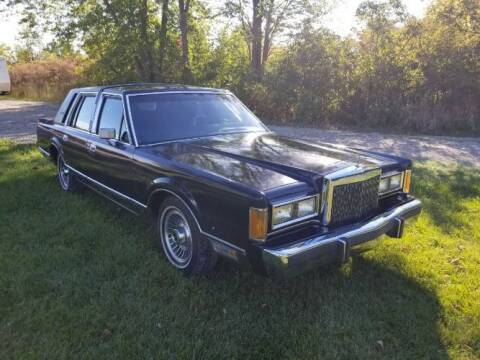 1989 Lincoln Town Car for sale at Classic Car Deals in Cadillac MI