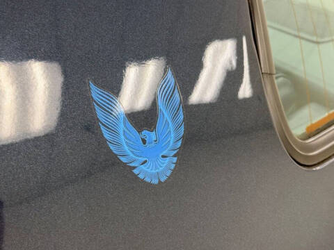 1981 Pontiac Firebird Trans Am