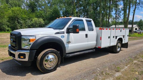 2015 Ford F-550 Super Duty for sale at Apex Auto Sales LLC in Petersburg MI