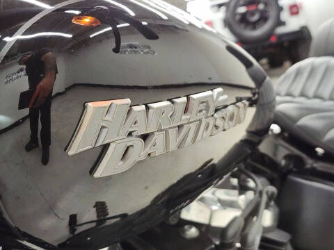 2020 Harley-Davidson Softail