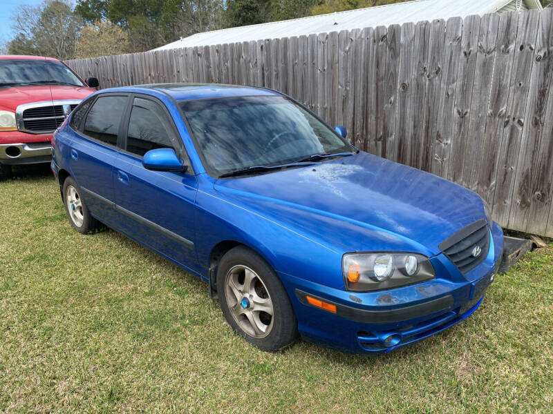 2004 Hyundai Elantra for sale at Cheeseman's Automotive in Stapleton AL