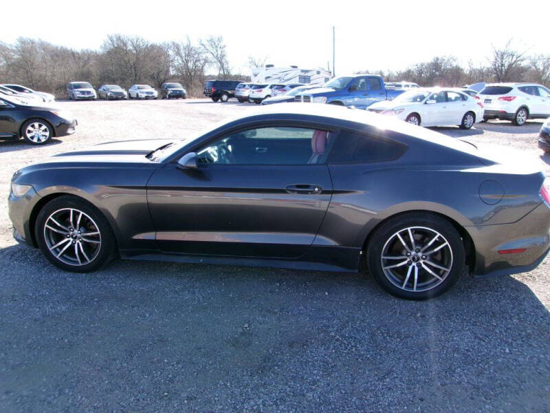 2015 Ford Mustang's photo