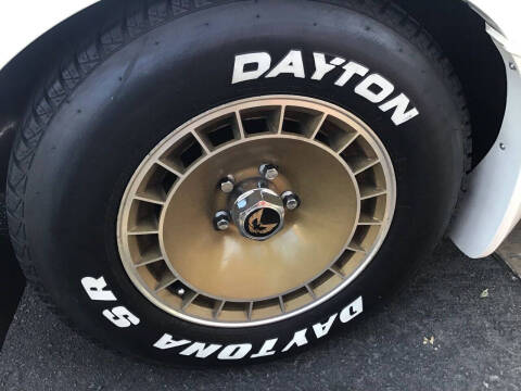 1981 Pontiac Firebird Trans Am