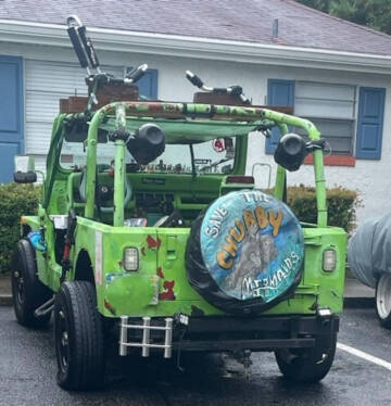 1995 Jeep Wrangler Rio Grande