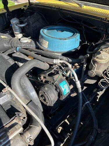 1981 Chevrolet C20