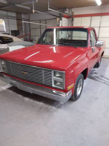 1982 Chevrolet Apache for sale at Classic Car Deals in Cadillac MI