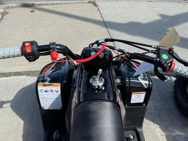 2023 Tao Four Wheeler