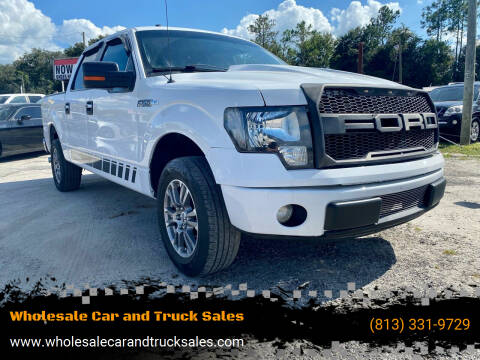 2014 Ford F-150 for sale at Wholesale Car and Truck Sales in Plant City FL