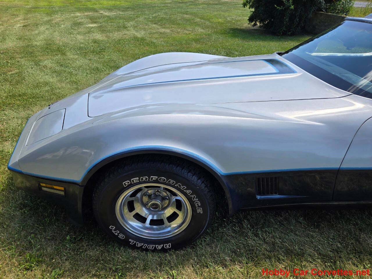 1981 Chevrolet Corvette 20