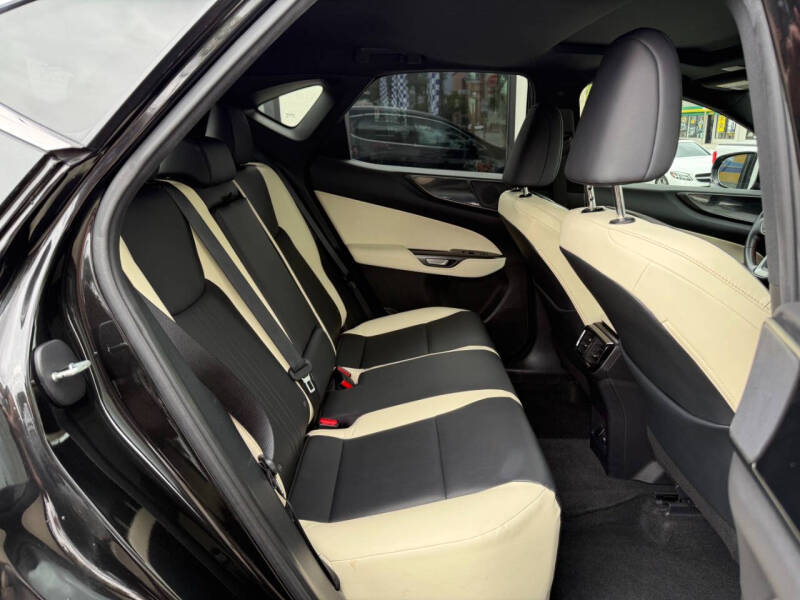 2024 Lexus NX 250