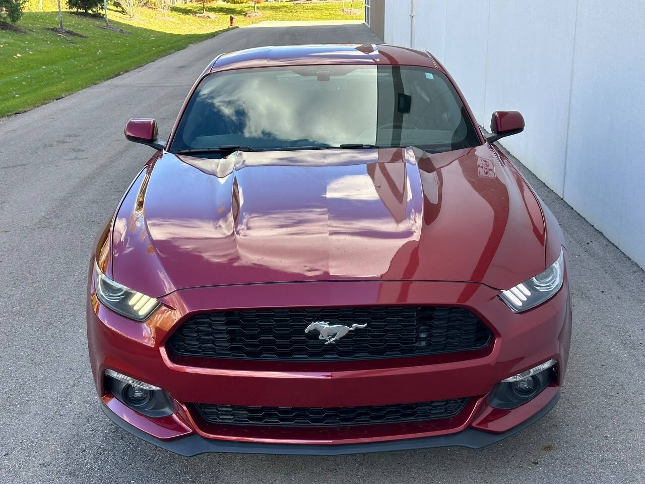 2016 Ford Mustang for sale at Phoenix Motor Co in Romulus, MI