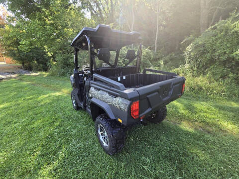 2025 TrailMaster Panther 550 Pro