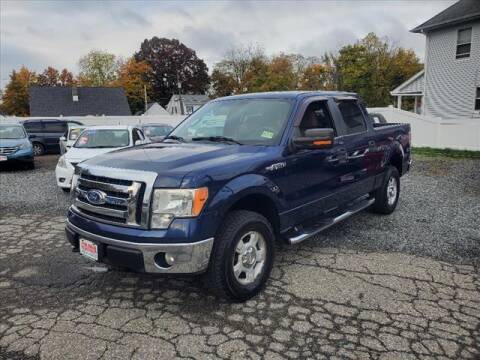 2010 Ford F-150 for sale at Colonial Motors in Mine Hill NJ