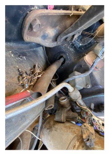 1978 Pontiac Trans Am