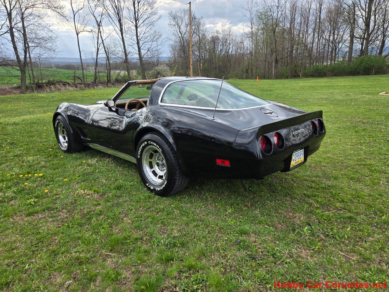 1981 Chevrolet Corvette 15