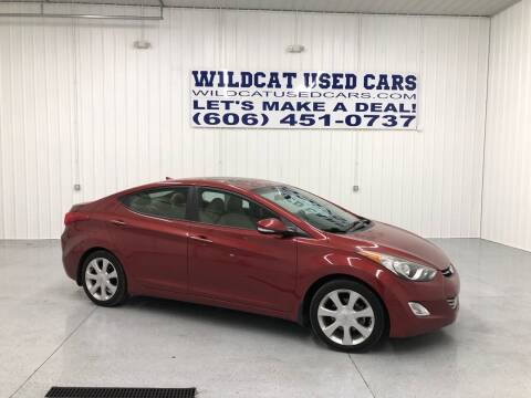 2013 Hyundai Elantra for sale at Wildcat Used Cars in Somerset KY
