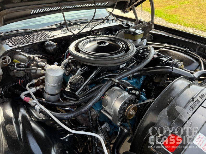 1981 Chevrolet Camaro